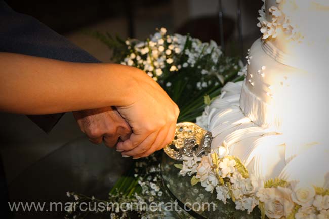 Casamento de Adriana e Marcos Andre 0592